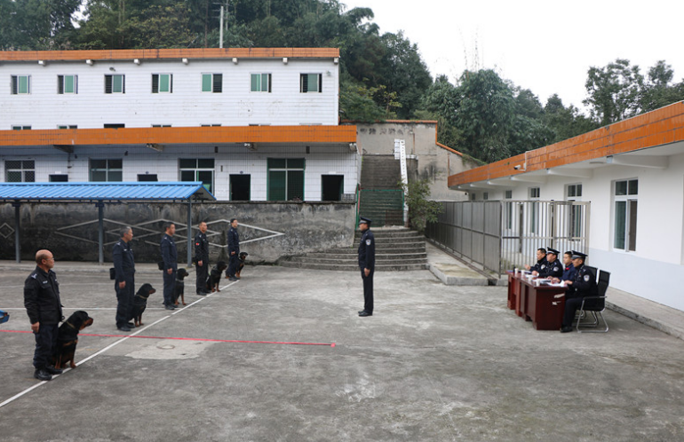 四川省漢王山監(jiān)獄開展警犬訓(xùn)導(dǎo)考核