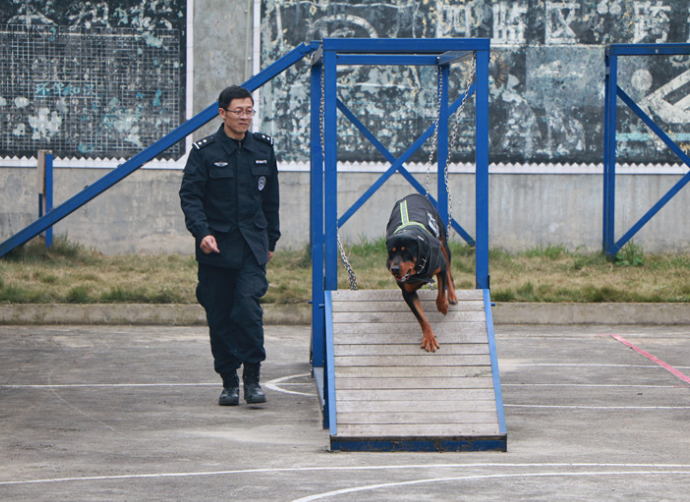 QQ圖片20191202123629.png