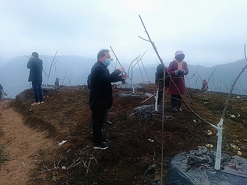 QQ圖片20200207142644.jpg