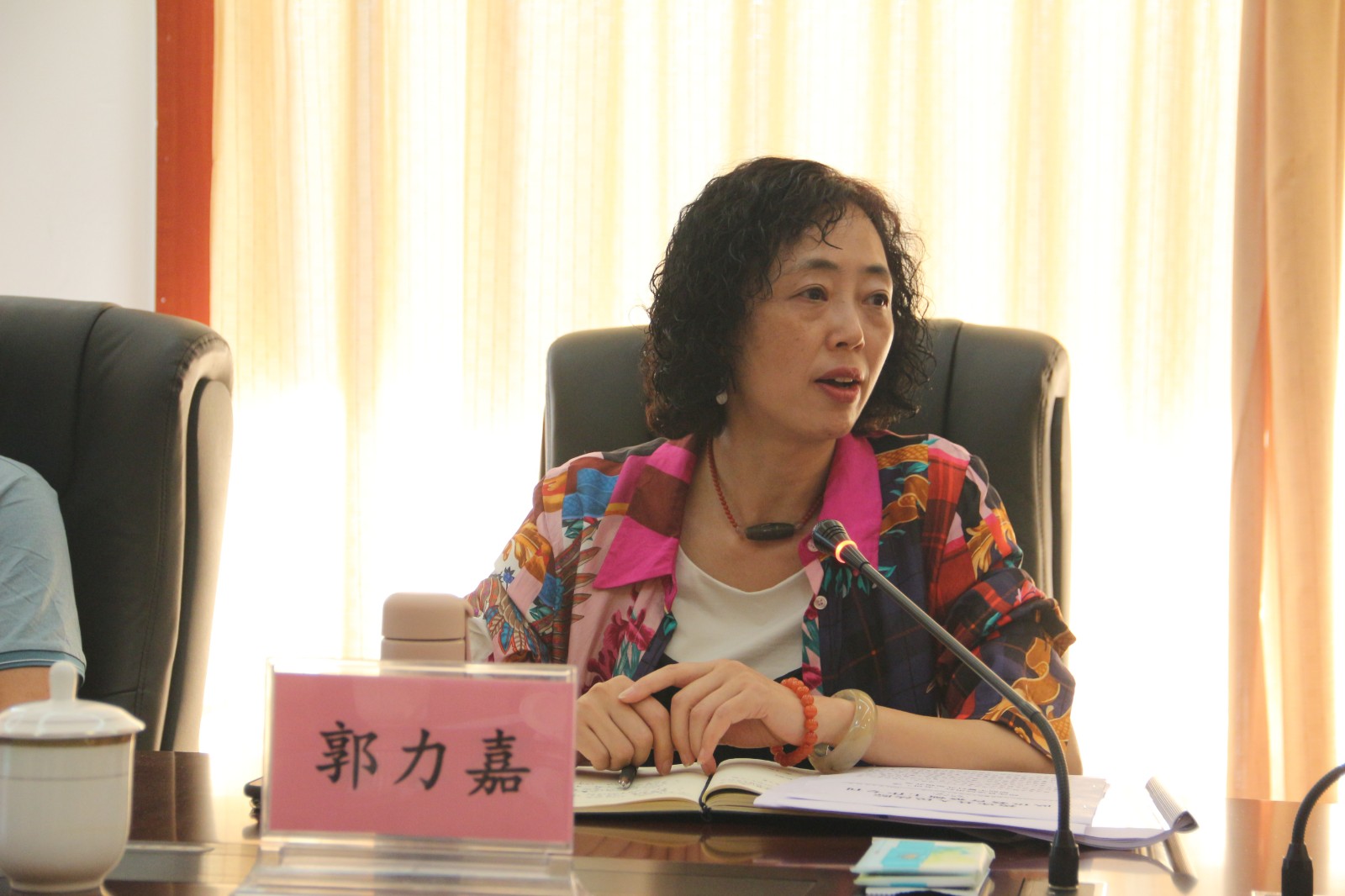 圖片4：省第十二駐點(diǎn)指導(dǎo)組法院現(xiàn)場(chǎng)指導(dǎo)專班負(fù)責(zé)人郭力嘉作點(diǎn)評(píng).JPG