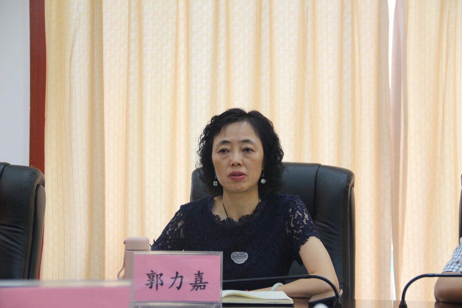 圖片2：四川省政法隊伍教育整頓第十二駐點指導(dǎo)組法院現(xiàn)場指導(dǎo)專班負(fù)責(zé)人郭力嘉.JPG