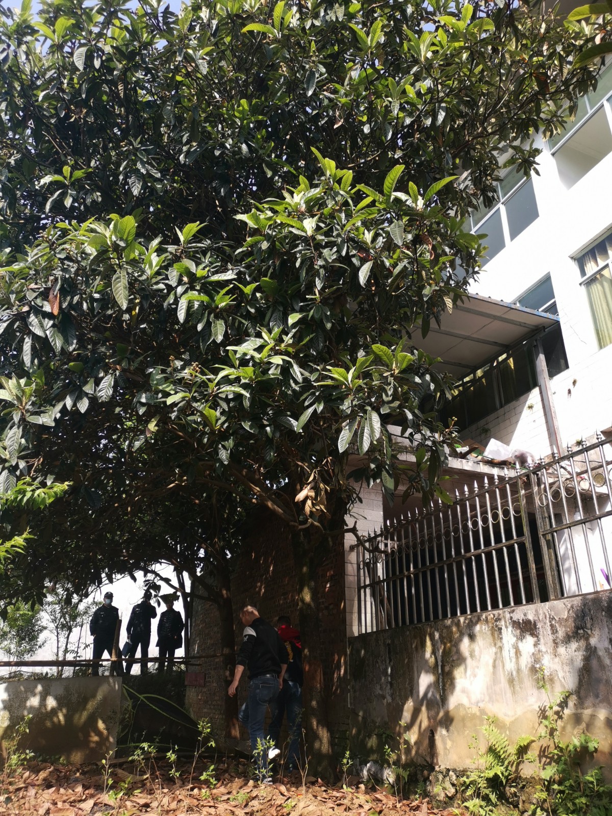 圖片2：執(zhí)行干警到現(xiàn)場實地勘驗.jpg