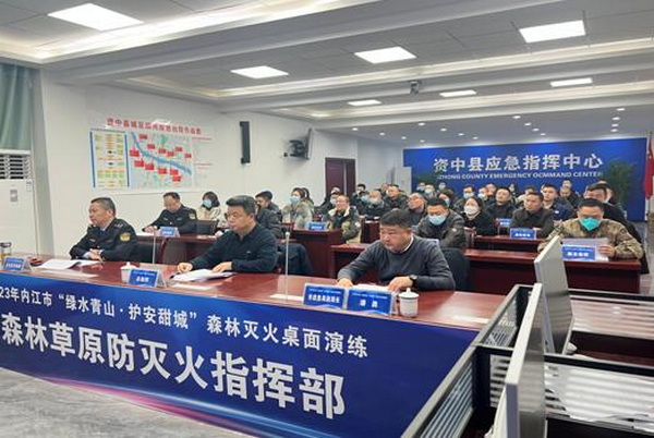 指揮決策.jpg