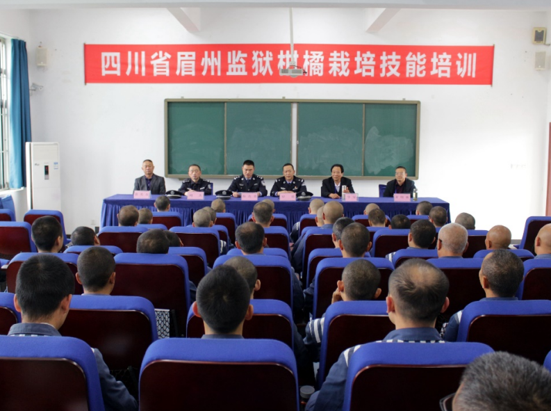 技能培訓(xùn)夯基礎(chǔ) 牢記囑托奔新生——四川省眉州監(jiān)獄開展“柑橘栽培技能培訓(xùn)”增強(qiáng)服刑人員回歸再就業(yè)能力 