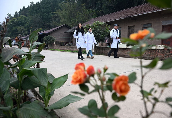 家庭醫(yī)生奔忙在各農家院落1.JPG