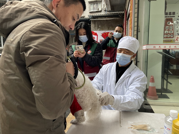 寵物打針.jpg