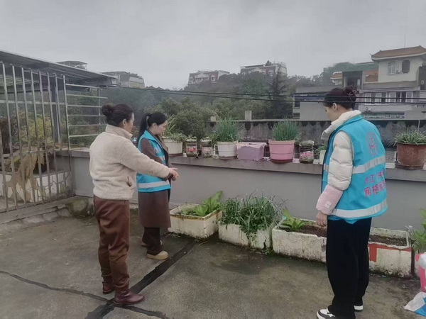 樓頂種菜.jpg