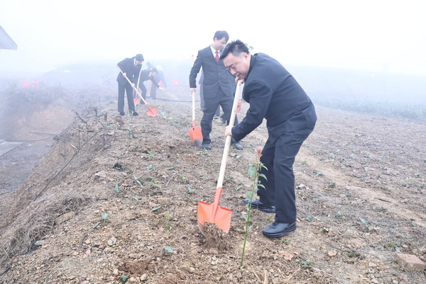 植樹現(xiàn)場 (1).JPG