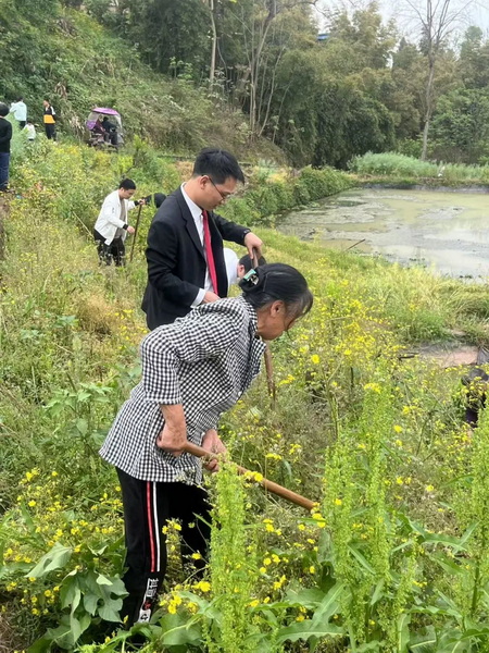 4-復(fù)植新苗，修復(fù)裂隙再續(xù)鄉(xiāng)土鄰里情 (1).jpg