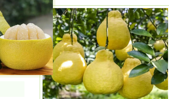 1745545002156.png