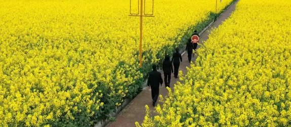 1745891198607.png